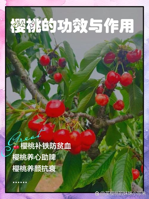 樱桃可以缓解痛风吗