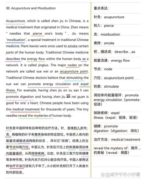 关于针灸的英语作文