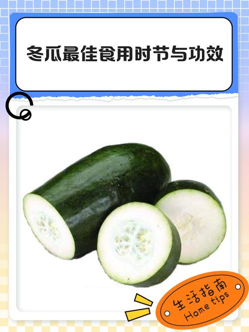 冬瓜对痛风有帮助吗