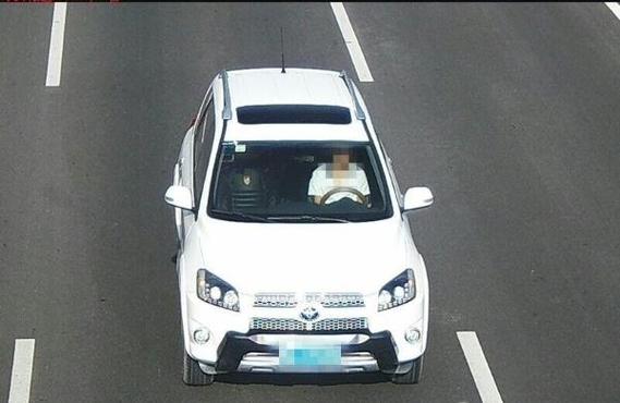 电子眼能拍到安全带吗