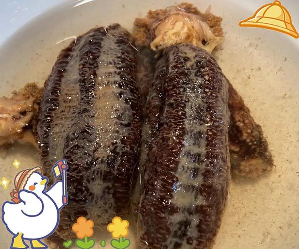 痛风能吃北极红参吗