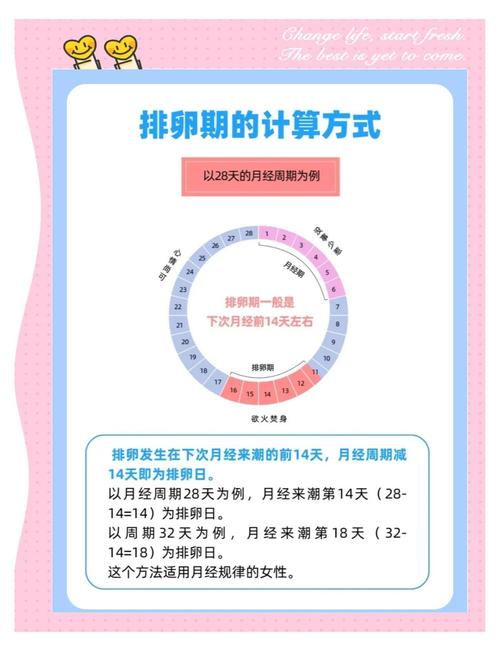 如何计算排卵期安全期