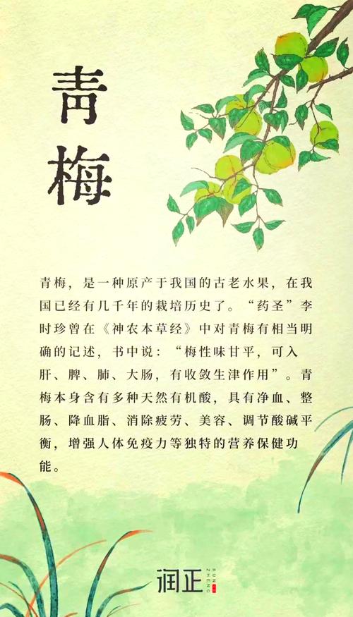 青梅膏对痛风的功效