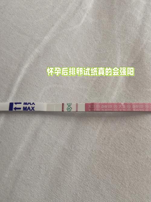 安全期排卵试纸强阳了