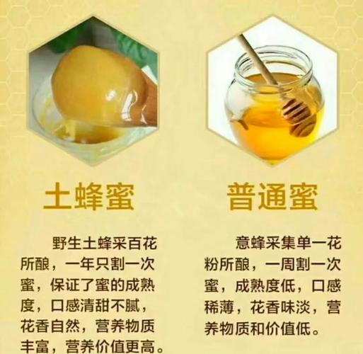 怎样放中蜂双王最安全