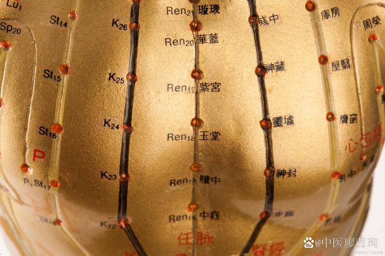 针灸减肥扎哪个穴位