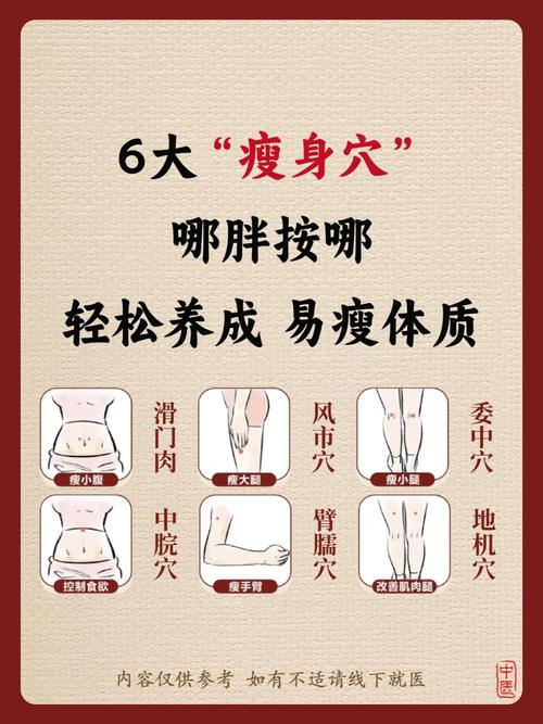 针灸减肥扎哪个穴位