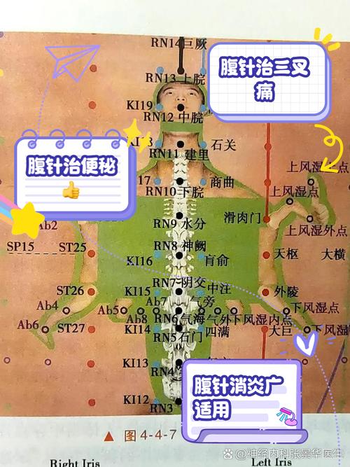 针灸减肥有什么危害