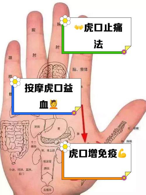 针灸虎口有什么作用