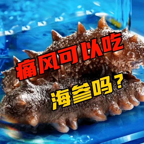 痛风可以吃地瓜粉吗