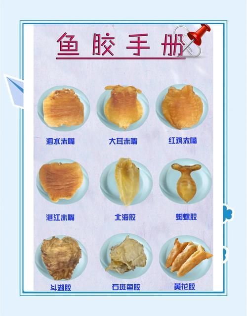 痛风的人能吃鱼胶吗