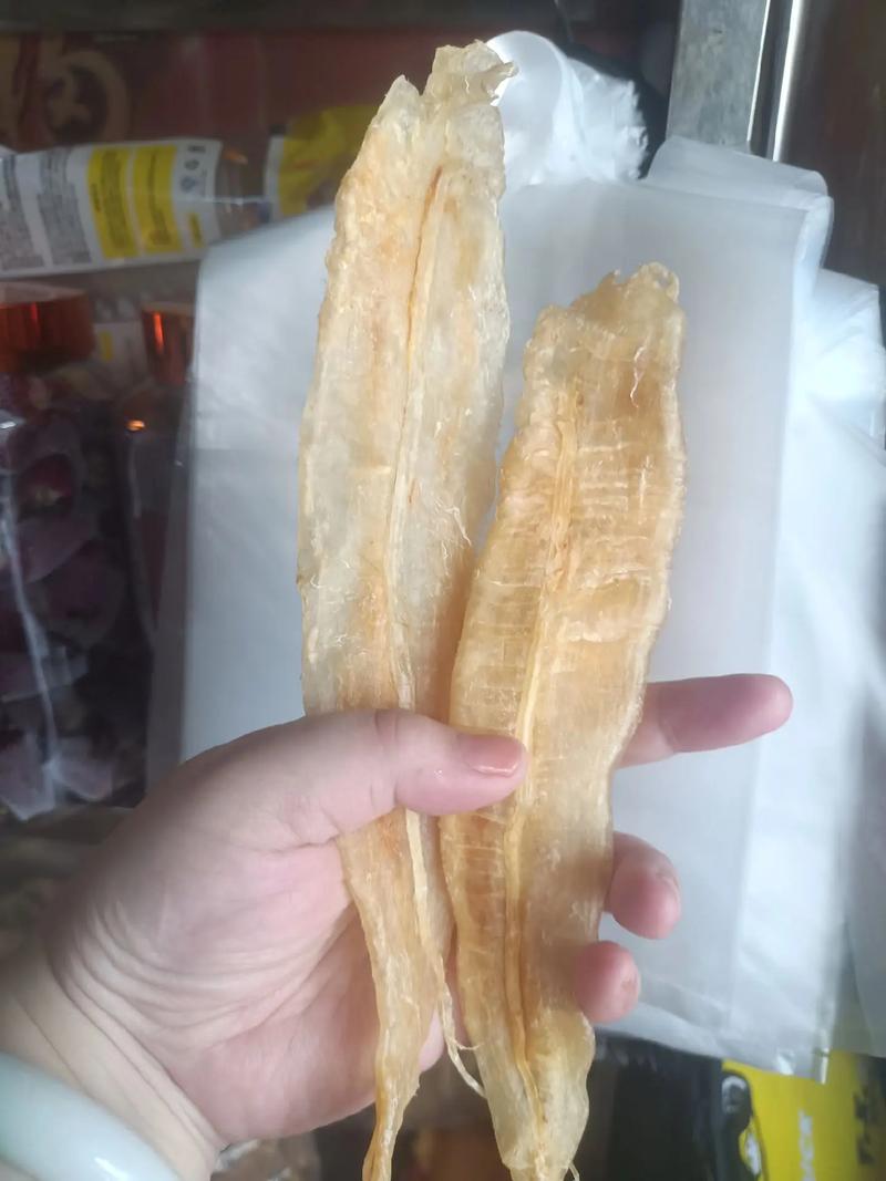 痛风的人能吃鱼胶吗