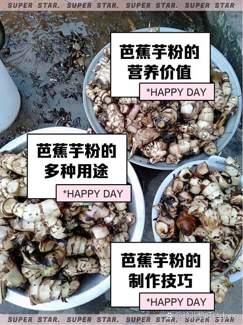 竹芋粉痛风可以吃吗