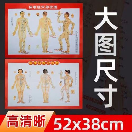 针灸穴位挂图超清版