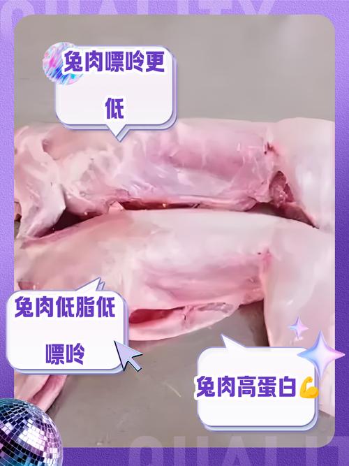 痛风病人能吃兔肉吗