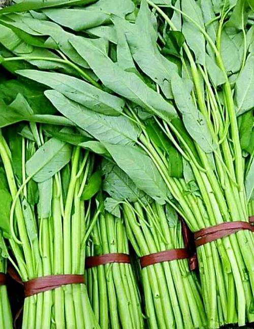 痛风病人吃什么青菜