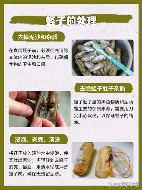 蛏子痛风人可以吃吗