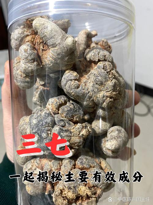痛风吃田三七有效吗