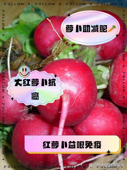 大红萝卜治痛风真假