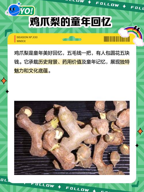 痛风脚肿吃什么水果