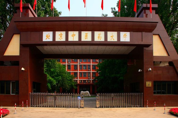 针灸推拿最好的大学