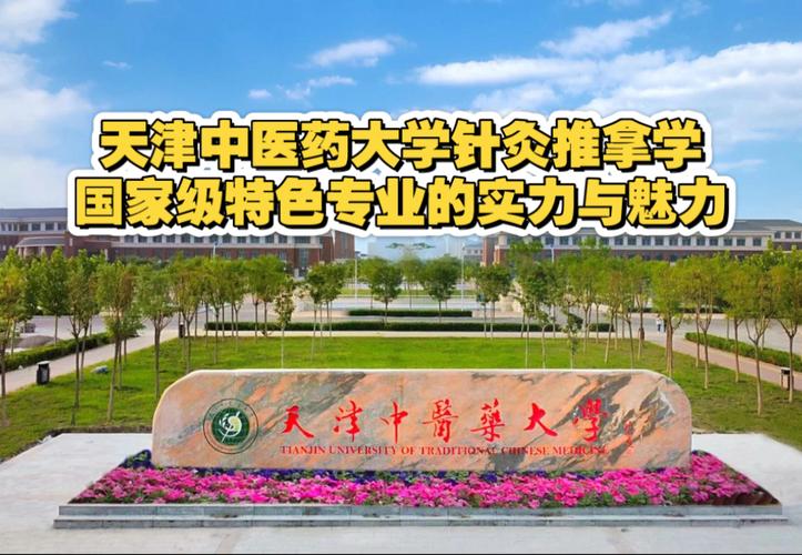 针灸推拿最好的大学