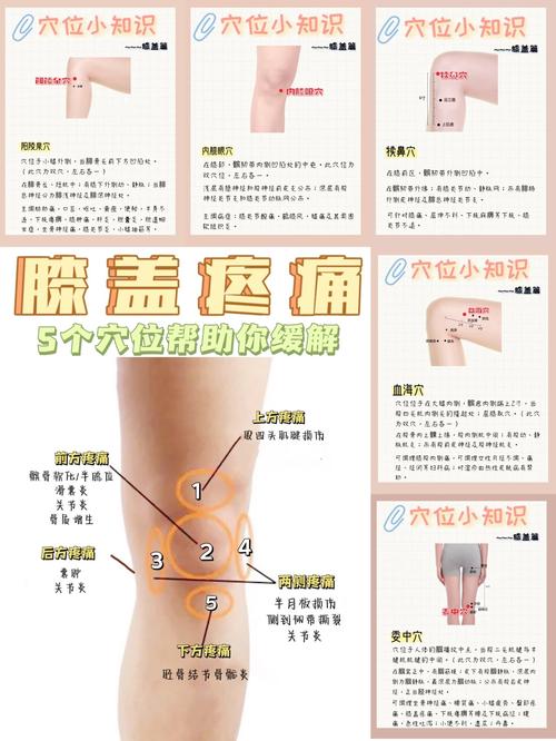膝盖痛针灸哪个穴位