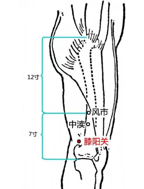 膝盖痛针灸哪个穴位