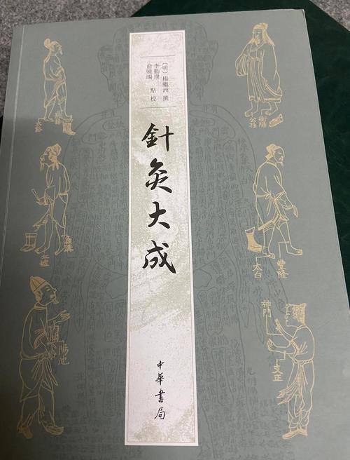 新针灸大成 pdf