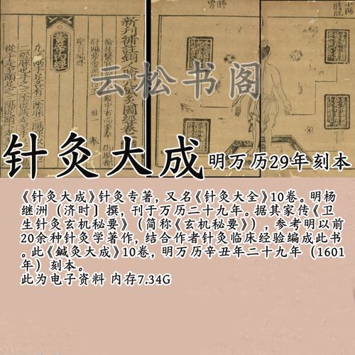 新针灸大成 pdf