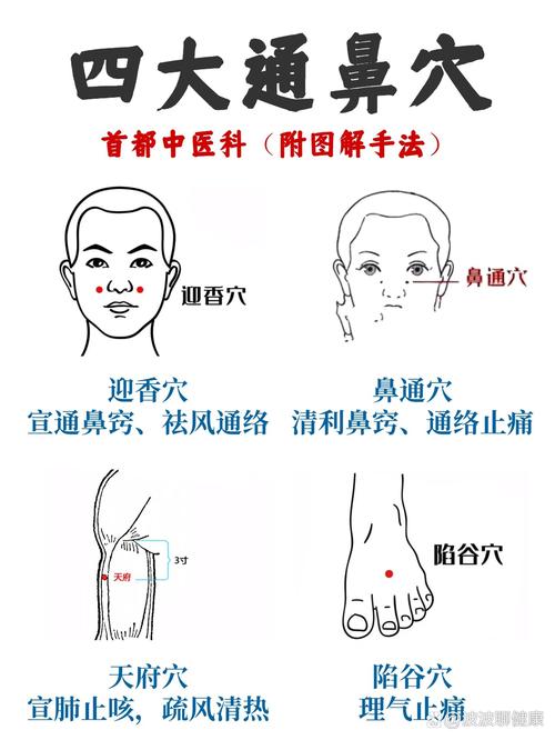 鼻塞艾针灸哪些部位