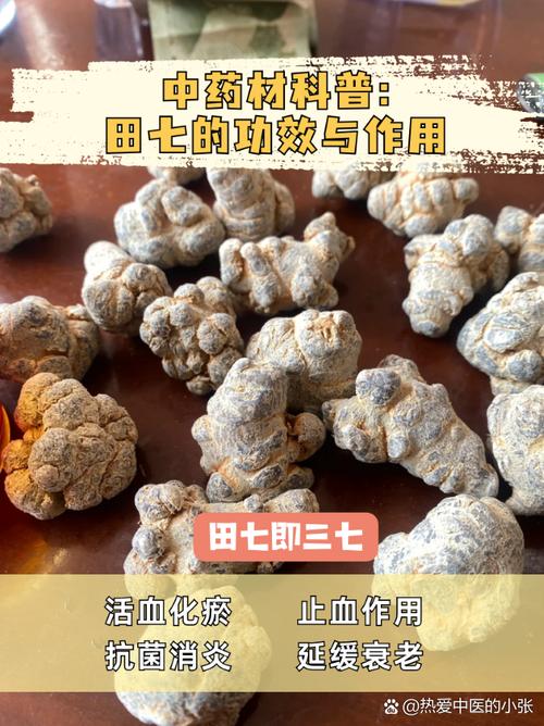 三七治疗痛风有用吗