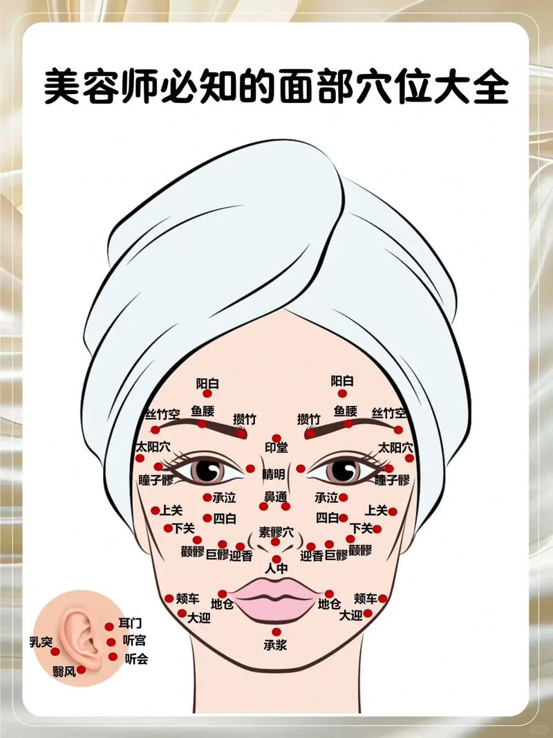 面部针灸美容穴位图
