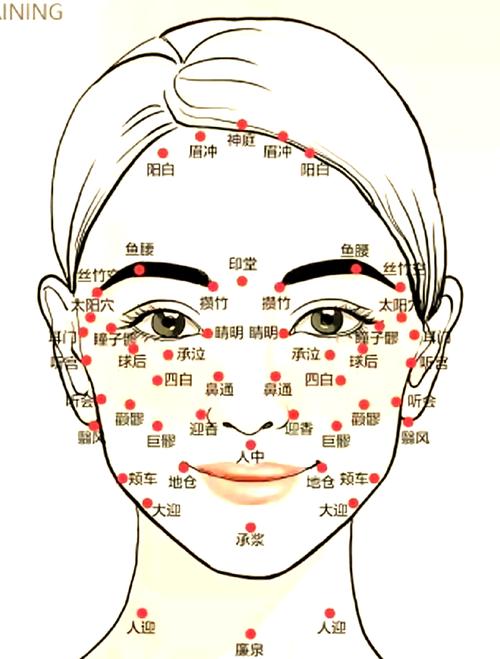 面部针灸美容穴位图
