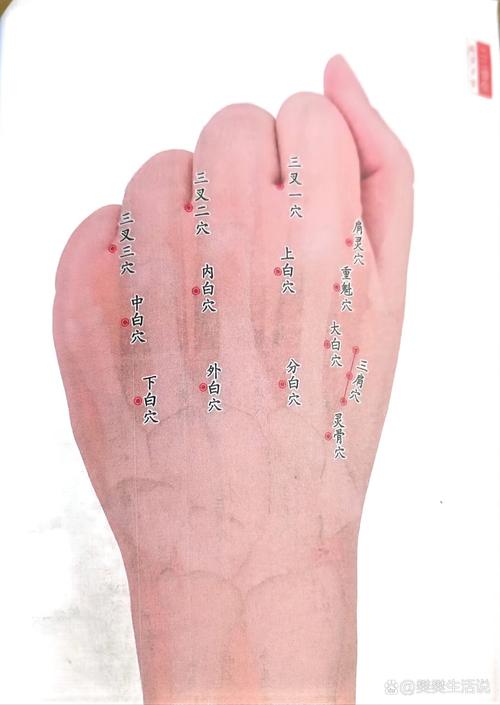 台湾董氏针灸经穴学