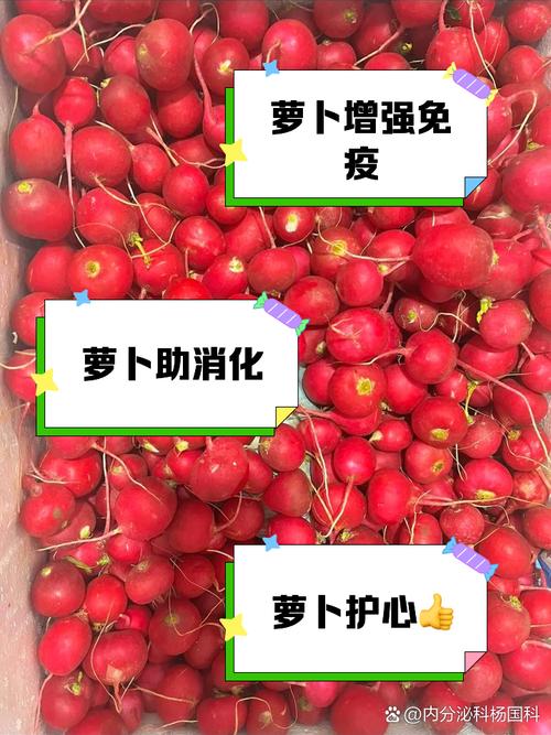 红萝卜榨汁治痛风吗