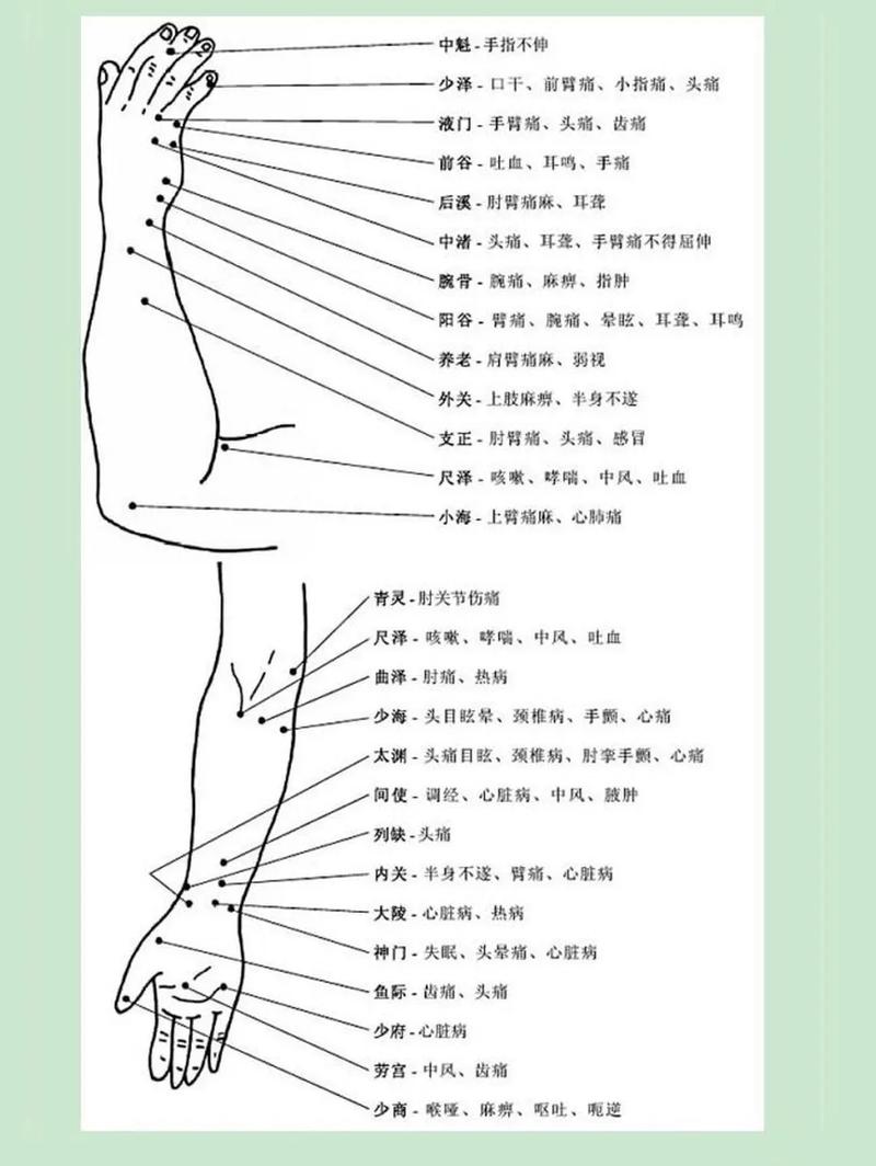针灸穴位pdf下载