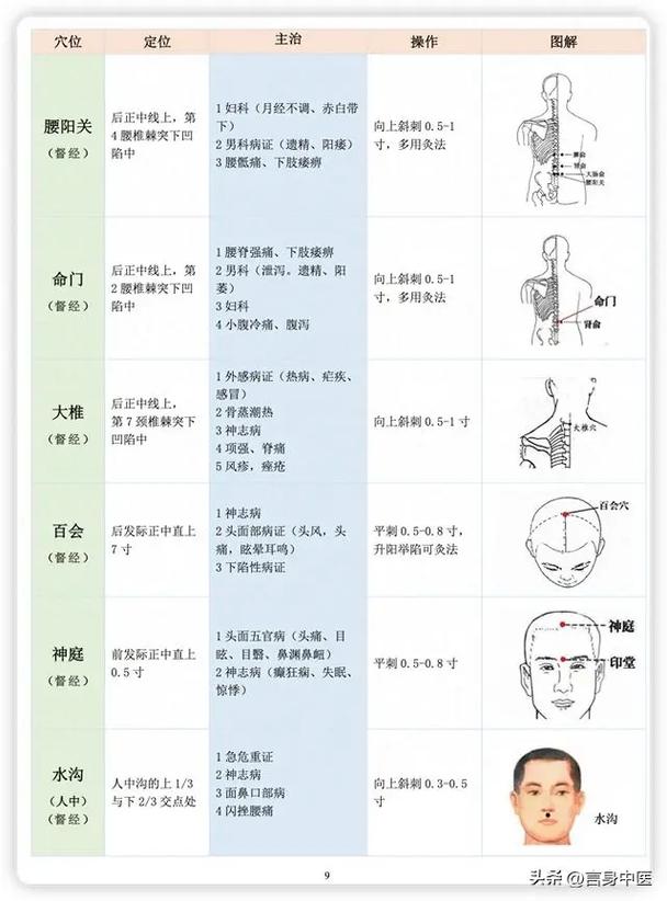 针灸穴位pdf下载