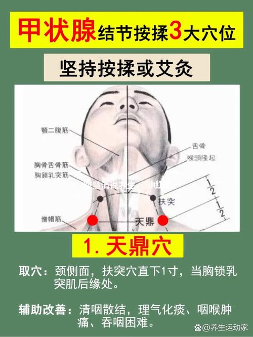 甲状腺结节针灸位置