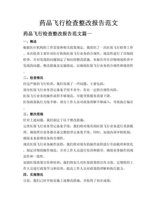 飞行安全整顿个人自查