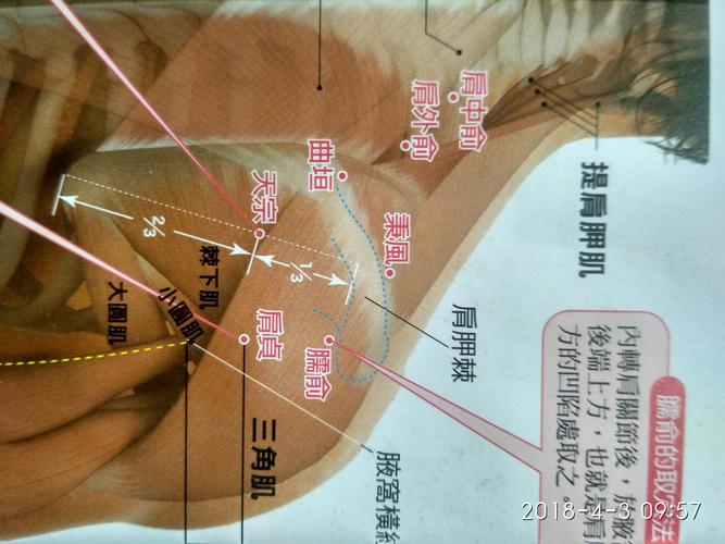 百年程氏针灸传习录