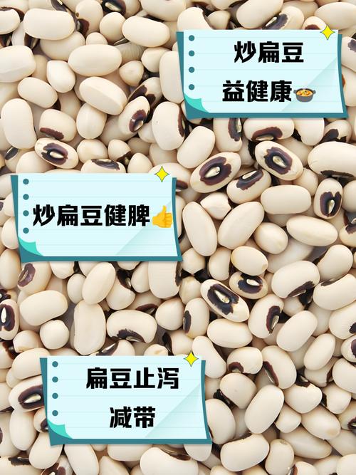 痛风可以吃大白豆吗